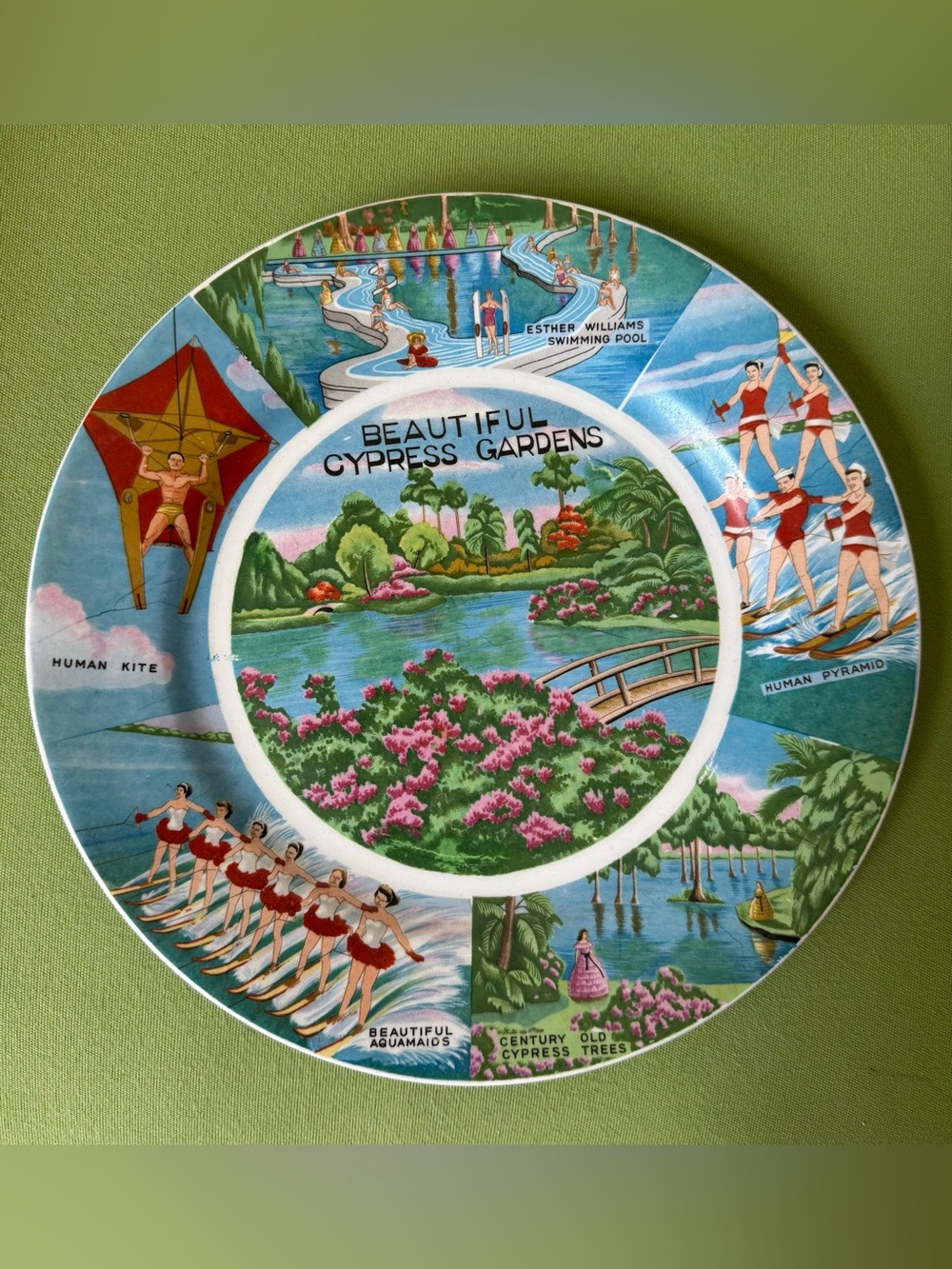 Beautiful Cypress Gardens Decorative Ceramic Souvenir Plate Vibrant Multi-Color